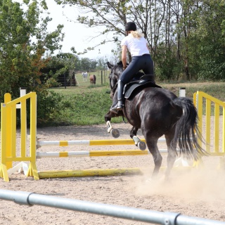 WhatsApp Image 2020-09-13 at 07.38.41-2.jpeg